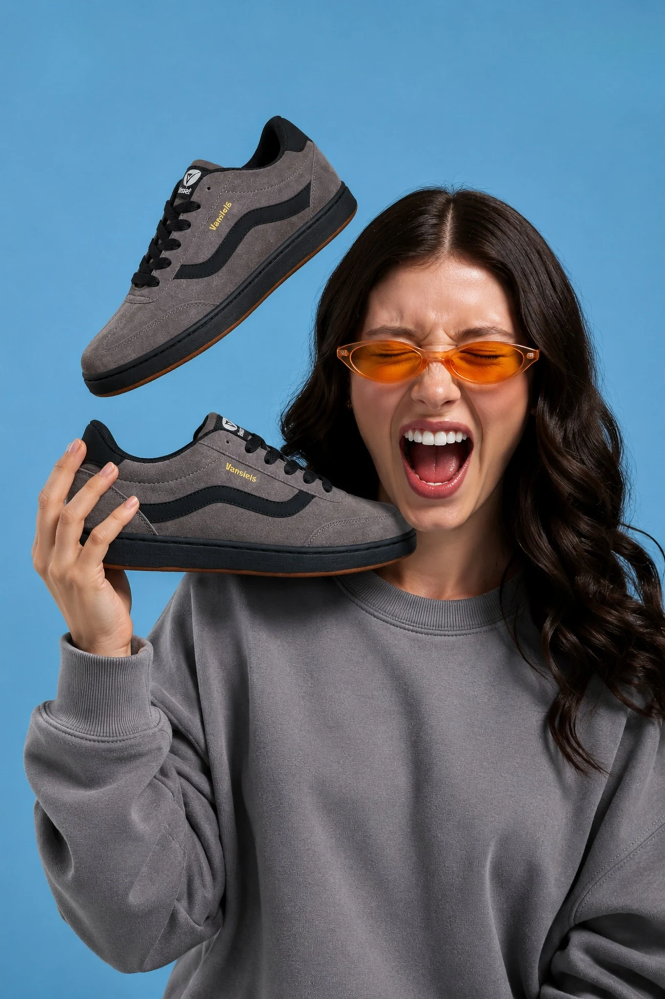 Vansiels campaign 2
